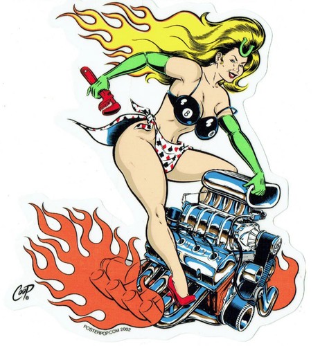 Coop sticker decal lady - sticker, luck